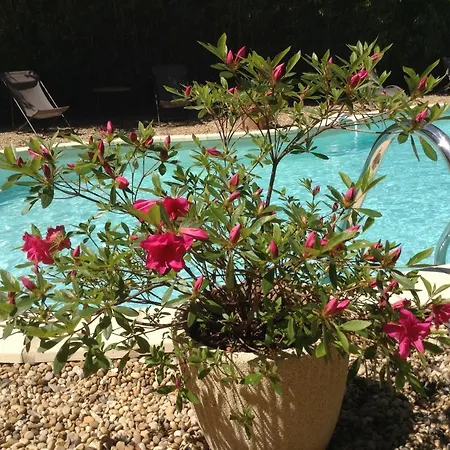 فندق مبيت وإفطار Aux Anges Gardiens 4*